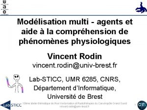 Modlisation multiagents et aide la comprhension de phnomnes