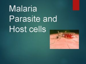 Malaria Parasite and Host cells Introduction Malaria is