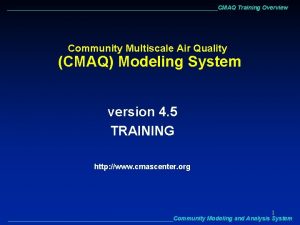 CMAQ Training Overview Community Multiscale Air Quality CMAQ