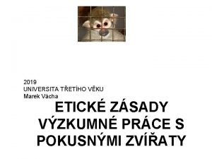 2019 UNIVERSITA TETHO VKU Marek Vcha ETICK ZSADY