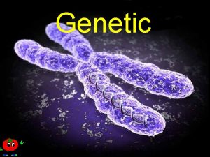 Genetic What is Genetic Genetika disebut juga ilmu