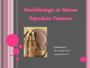 Morfofisiologia do Sistema Reprodutor Feminino Realizado por ris
