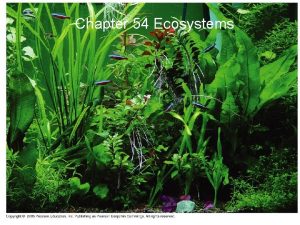 Chapter 54 Ecosystems Ecosystems Consist of all the