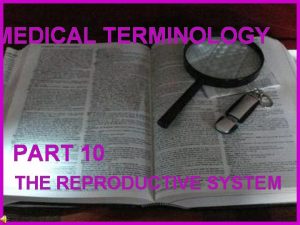 MEDICAL TERMINOLOGY PART 10 THE REPRODUCTIVE SYSTEM Constructed