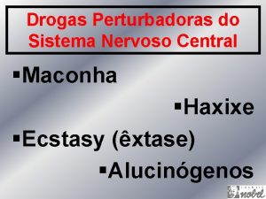 Drogas Perturbadoras do Sistema Nervoso Central Maconha Haxixe