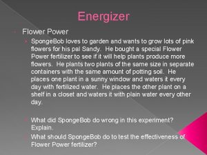 Energizer Flower Power Sponge Bob loves to garden