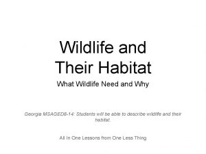 Wildlife and Their Habitat What Wildlife Need and