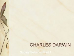 CHARLES DARWIN Natural Selection Part 1 Who was