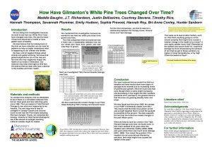 How Have Gilmantons White Pine Trees Changed Over