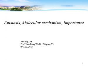 Epistasis Molecular mechanism Importance Xudong Zou Prof YunDong