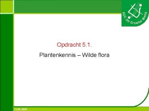 Opdracht 5 1 Plantenkennis Wilde flora 21 05