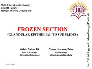 FROZEN SECTION GLANDULAR EPITHELIAL TISSUE SLIDES 28112020 Azhin