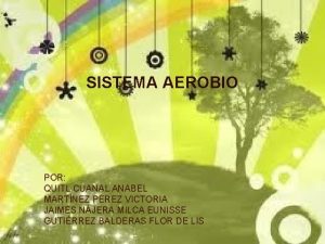 SISTEMA AEROBIO POR QUITL CUANAL ANABEL MARTNEZ PREZ