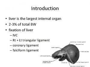 Introduction liver is the largest internal organ 2