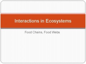 Interactions in Ecosystems Food Chains Food Webs What