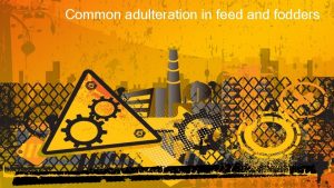 Common adulteration in feed and fodders Adulteration is