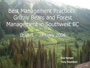 Best Management Practices Grizzly Bears and Forest Management