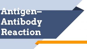 Antigen Antibody Reaction Learning objectives At the end