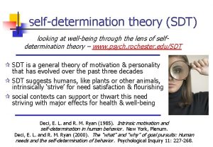 selfdetermination theory SDT looking at wellbeing through the