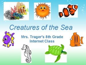 Creatures of the Sea Mrs Tragers 8 th