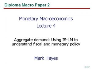 Diploma Macro Paper 2 Monetary Macroeconomics Lecture 4