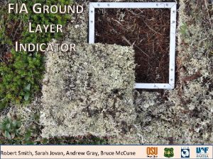 FIA GROUND LAYER INDICATOR Robert Smith Sarah Jovan