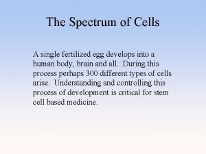 The Spectrum of Cells A single fertilized egg