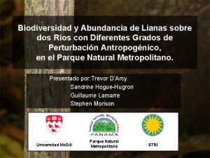 Biodiversidad y Abundancia de Lianas sobre dos Ros