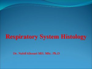 Respiratory System Histology Dr Nabil Khouri MD MSc