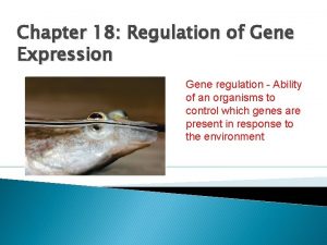 Chapter 18 Regulation of Gene Expression Gene regulation