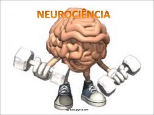 mgracac 1gmail com HISTRIA DA NEUROCINCIA mgracac 1gmail