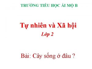 TRNG TIU HC I M B T nhin