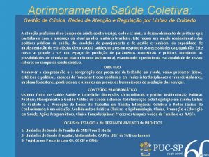 Aprimoramento Sade Coletiva Gesto da Clnica Redes de