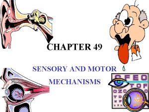 CHAPTER 49 SENSORY AND MOTOR MECHANISMS I INTRODUCTION