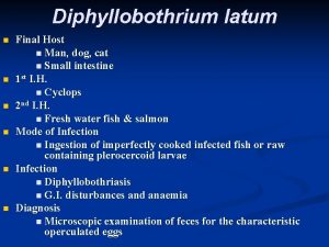 Diphyllobothrium latum n n n Final Host n