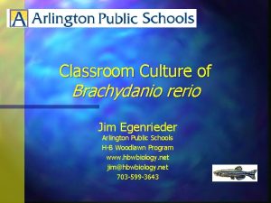 Classroom Culture of Brachydanio rerio Jim Egenrieder Arlington
