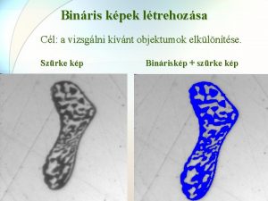 Binris kpek ltrehozsa Cl a vizsglni kvnt objektumok