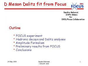 D Meson Dalitz fit from Focus Sandra Malvezzi