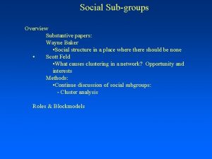 Social Subgroups Overview Substantive papers Wayne Baker Social