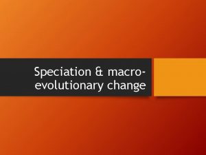 Speciation macroevolutionary change Allopatric Speciation Most common form