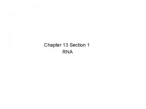 Lesson Overview Fermentation Chapter 13 Section 1 RNA