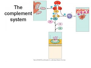 The complement system Complement has three functions Opsonin