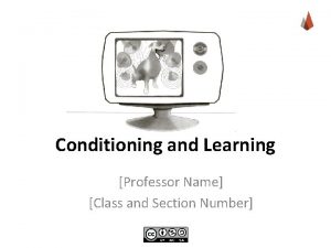 Conditioning and Learning Professor Name Class and Section