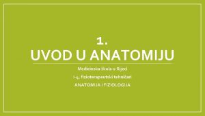 1 UVOD U ANATOMIJU Medicinska kola u Rijeci