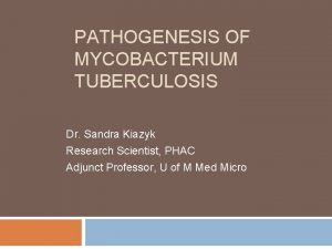 PATHOGENESIS OF MYCOBACTERIUM TUBERCULOSIS Dr Sandra Kiazyk Research