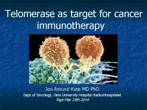 Telomerase as target for cancer immunotherapy Jon Amund