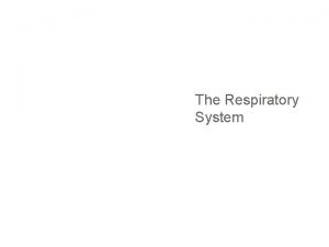 The Respiratory System Organs of the Respiratory System