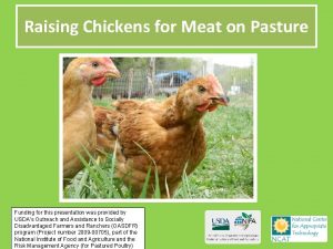 Raising Chickens for Meat on Pasture Funding for