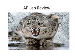 AP Lab Review Lab 1 Diffusion Osmosis Lab
