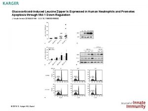 GlucocorticoidInduced Leucine Zipper Is Expressed in Human Neutrophils